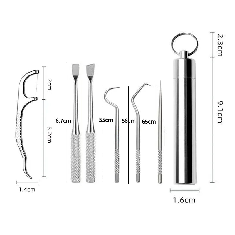 Stainless Steel Toothpick Set Tooth Flossing Reusable Toothpicks Portable Toothpick Floss Teeth Cleaner Oral Cleaning